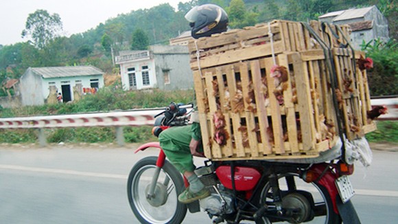 Đành nhắm mắt mà ăn ảnh 2