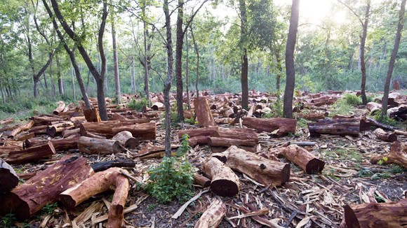 Cứu lấy hành tinh ảnh 1