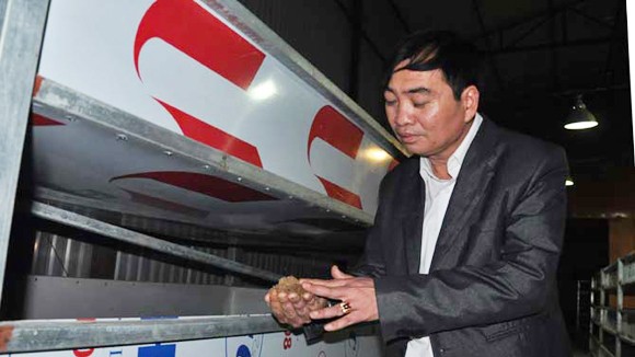 Cảnh giác với “bẫy” nuôi gián đất ảnh 1