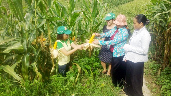 Việt Nam sẽ có thực phẩm biến đổi gene ảnh 1