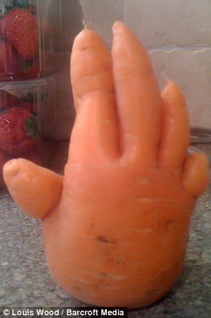Ngộ nghĩnh hình hai củ cà-rốt như… đôi tình nhân ảnh 2
