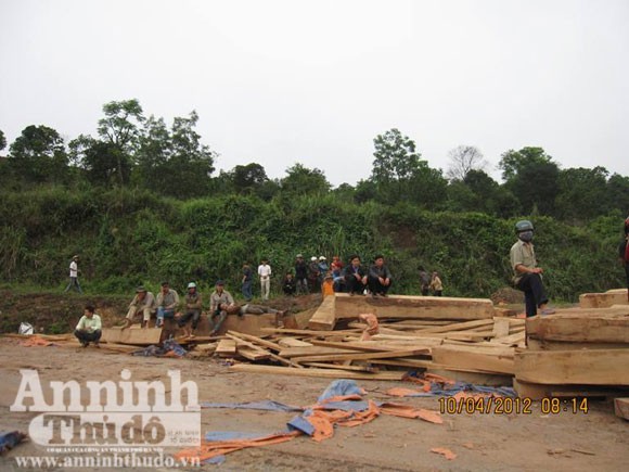 Tử vong vì bị 100 tấn gỗ đè vào người ảnh 2