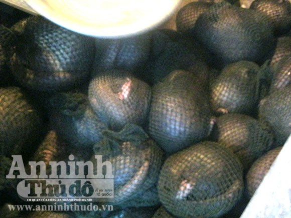 Bắt 2 đối tượng vận chuyển hàng trăm kg tê tê ảnh 1