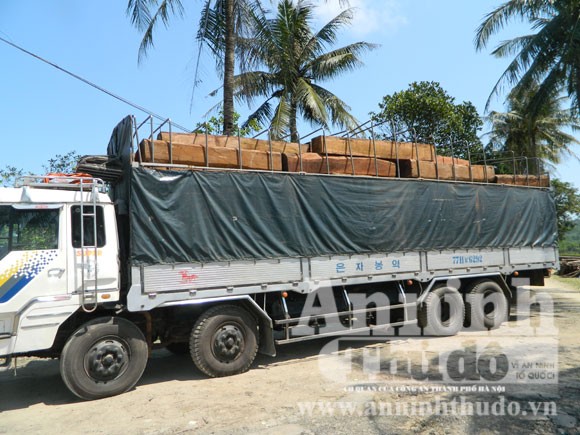 Bắt giữ 100m3 gỗ lậu chất đầy toa tàu ảnh 1