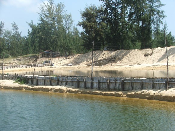 Lấn chiếm đất rừng nuôi tôm, 8 cán bộ, đảng viên bị kỷ luật ảnh 1