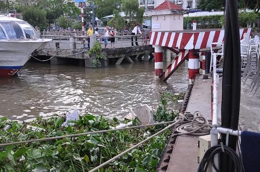 Hoảng hồn khi thấy xác người trôi bồng bềnh trên sông ảnh 1