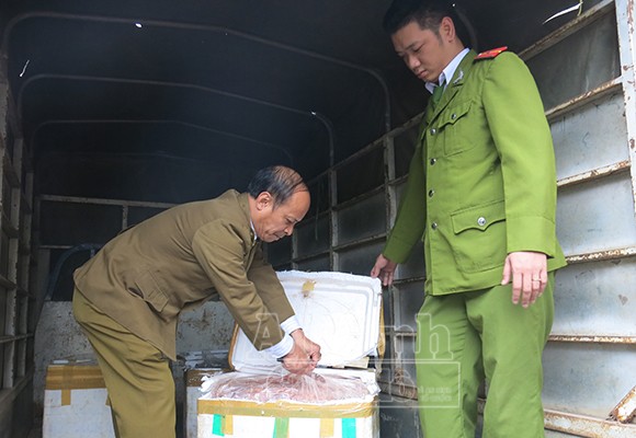 Thu giữ 4 tạ gan, lòng bò chuẩn bị vận chuyển sang Lào ảnh 1
