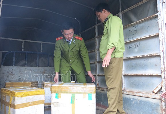 Thu giữ 4 tạ gan, lòng bò chuẩn bị vận chuyển sang Lào ảnh 2