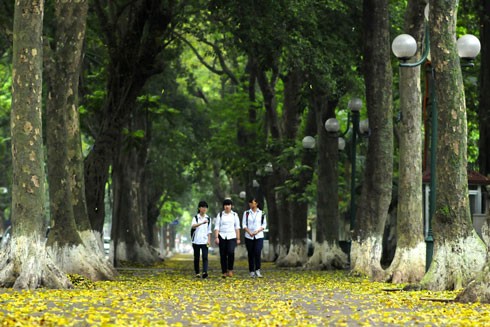 Những chuyện ngẫu nhiên ở mùa Thu ảnh 1