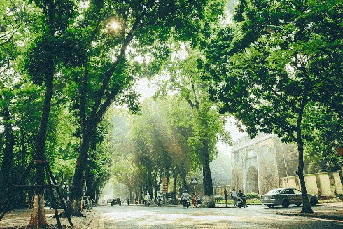 Thong thả Hà Nội mỗi sớm mai ảnh 3