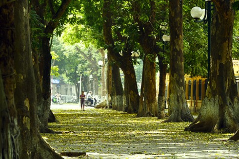 Mùi của phố ảnh 4