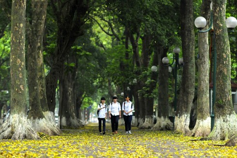 Mùa hè Hà Nội có vẻ nóng hơn xưa! ảnh 1 Mùa hè Hà Nội có vẻ nóng hơn xưa! ảnh 1