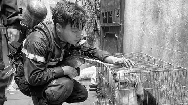 Hình ảnh Liệt sĩ Trung úy Đỗ Đức Việt bên chú chó được anh và đồng đội cứu cùng dòng trạng thái đáng yêu đã lay động trái tim nhiều người Hình ảnh Liệt sĩ Trung úy Đỗ Đức Việt bên chú chó được anh và đồng đội cứu cùng dòng trạng thái đáng yêu đã lay động trái tim nhiều người