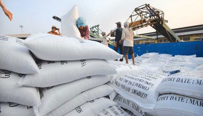 Gạo Việt thêm cơ hội vào Philippines