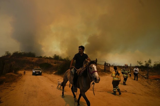 Vụ cháy rừng hồi tháng 2-2024 ở Valparaíso khiến 137 người thiệt mạng và khoảng 16.000 người mất nhà cửa