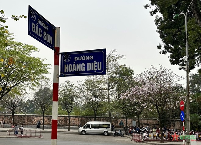 Các con phố Bắc Sơn, Hoàng Diệu như khoác lên mình màu áo mới bởi sắc màu hoa ban Tây Bắc