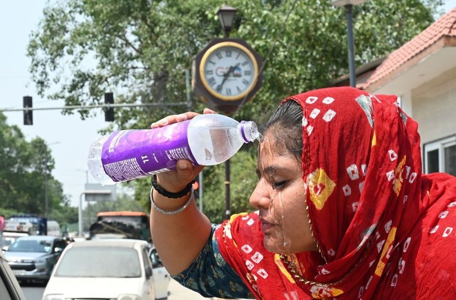 Một người dân Ấn Độ phải dùng nước giải nhiệt cơ thể ngay trên đường phố Thủ đô New Delhi khi nhiệt độ tăng cao kỷ lục