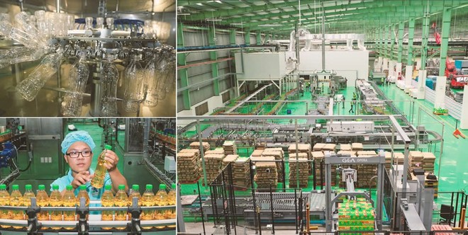 Luôn đổi mới và sáng tạo trong sản xuất, theo đuổi sự phát triển bền vững Luôn đổi mới và sáng tạo trong sản xuất, theo đuổi sự phát triển bền vững