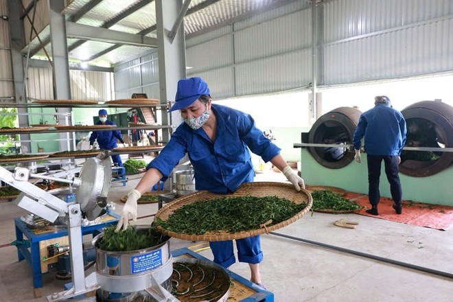 Tân Hiệp Phát kết nối các đối tác theo đuổi mục tiêu phát triển bền vững trong quá trình hợp tác sản xuất kinh doanh Tân Hiệp Phát kết nối các đối tác theo đuổi mục tiêu phát triển bền vững trong quá trình hợp tác sản xuất kinh doanh