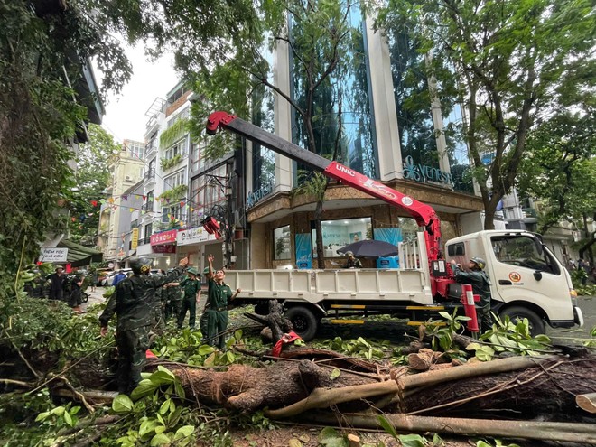 Chủ tịch UBND TP Hà Nội chỉ đạo tập trung toàn bộ nhân lực, trang thiết bị để triển khai giải tỏa cây đổ, cành gẫy, để đảm bảo an toàn giao thông,