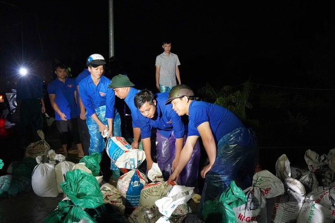 Gia cố đê điều