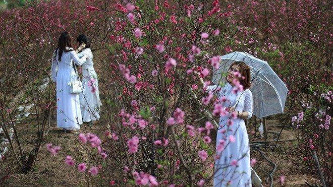 Cái lạnh mùa đông trở về với đất và người Hà Nội Cái lạnh mùa đông trở về với đất và người Hà Nội