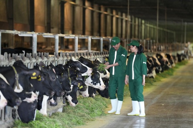 Mô hình trang trại sinh thái “Vinamilk Green Farm” theo định hướng nông nghiệp bền vững, giảm phát thải Mô hình trang trại sinh thái “Vinamilk Green Farm” theo định hướng nông nghiệp bền vững, giảm phát thải