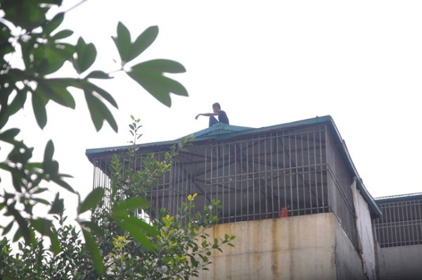 "Ngáo đá" cố thủ cả ngày trên nóc nhà dân ảnh 1 "Ngáo đá" cố thủ cả ngày trên nóc nhà dân ảnh 1
