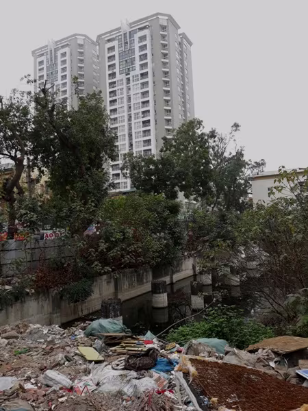 ‘Đắng lòng’ khu đất gần 2.000 m2 bị hoang hóa giữa lòng Thủ đô ảnh 8 ‘Đắng lòng’ khu đất gần 2.000 m2 bị hoang hóa giữa lòng Thủ đô ảnh 8