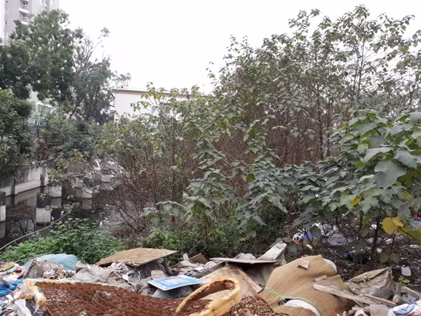 ‘Đắng lòng’ khu đất gần 2.000 m2 bị hoang hóa giữa lòng Thủ đô ảnh 9 ‘Đắng lòng’ khu đất gần 2.000 m2 bị hoang hóa giữa lòng Thủ đô ảnh 9