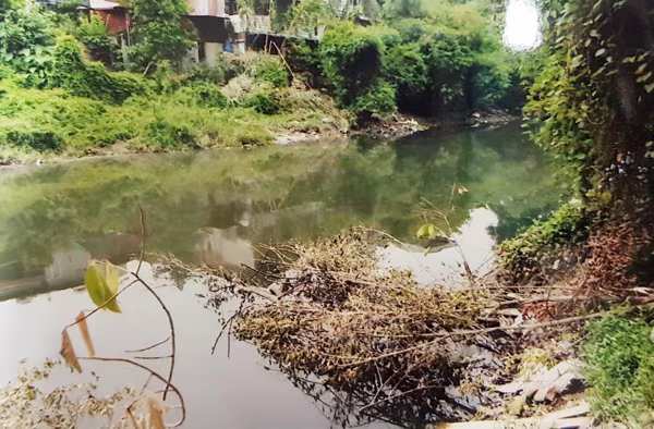 Phi tang xác "bạn nghiện" xuống sông Nhuệ ảnh 2