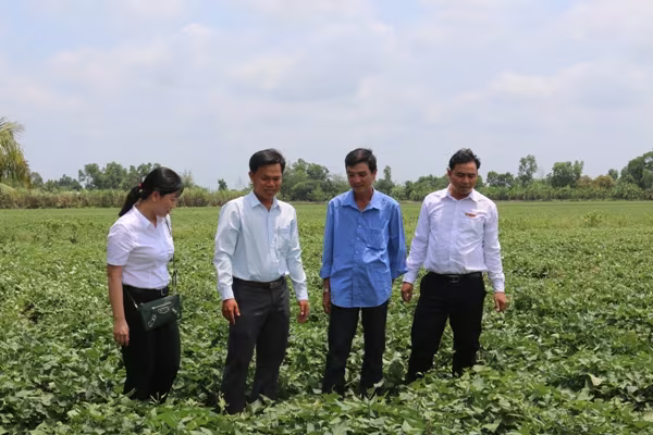 Dấu ấn Agribank trong thành tựu 10 năm xây dựng nông thôn mới ảnh 1 Dấu ấn Agribank trong thành tựu 10 năm xây dựng nông thôn mới ảnh 1