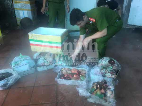 Phát hoảng với 5 tấn nội tạng đông lạnh mốc xanh ảnh 6 Phát hoảng với 5 tấn nội tạng đông lạnh mốc xanh ảnh 6