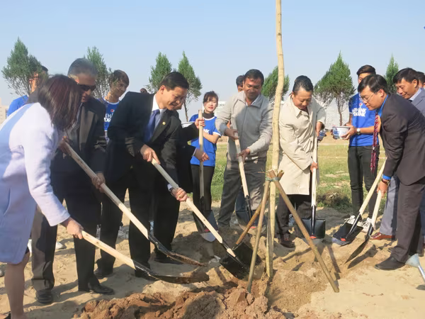 Uống chai sành, trồng cây xanh” ảnh 1