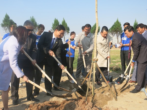 Uống chai sành, trồng cây xanh” ảnh 1 Uống chai sành, trồng cây xanh” ảnh 1