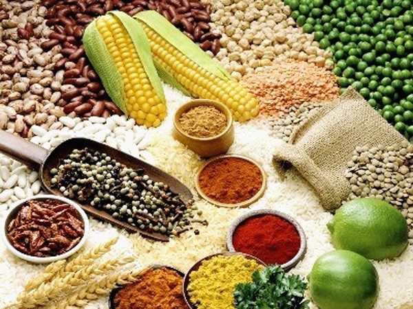 Chất độc “ẩn nấp” trong đĩa thức ăn ảnh 1 Chất độc “ẩn nấp” trong đĩa thức ăn ảnh 1
