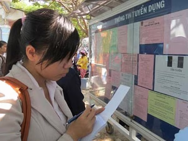 Cử nhân thất nghiệp do chất lượng đào tạo ảnh 1