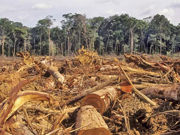 Lời cảnh báo với tương lai ảnh 1 Lời cảnh báo với tương lai ảnh 1