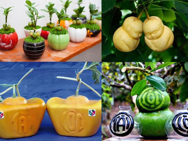 Bỏ tiền tỷ để săn hàng độc chơi Tết ảnh 1 Bỏ tiền tỷ để săn hàng độc chơi Tết ảnh 1
