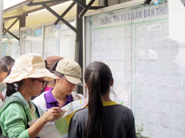 Sinh viên bị lừa khi kiếm việc làm thêm giáp Tết ảnh 1 Sinh viên bị lừa khi kiếm việc làm thêm giáp Tết ảnh 1