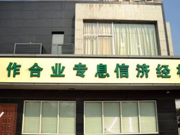 Người Trung Quốc “ngã ngửa” vì ngân hàng “ma” ảnh 1