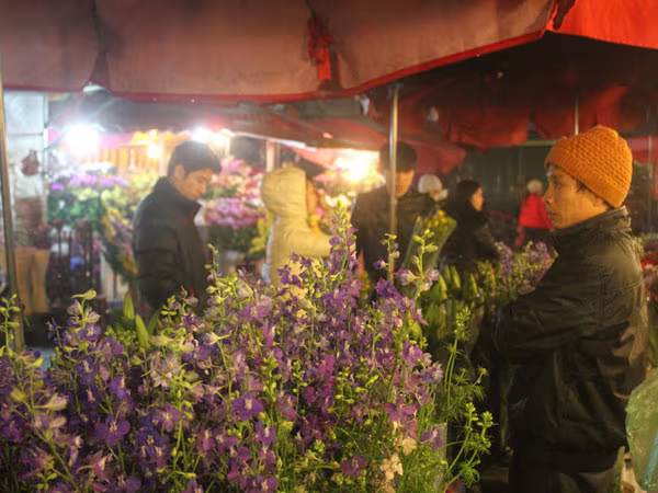 Hà Nội được mùa hoa Tây Tựu ảnh 6