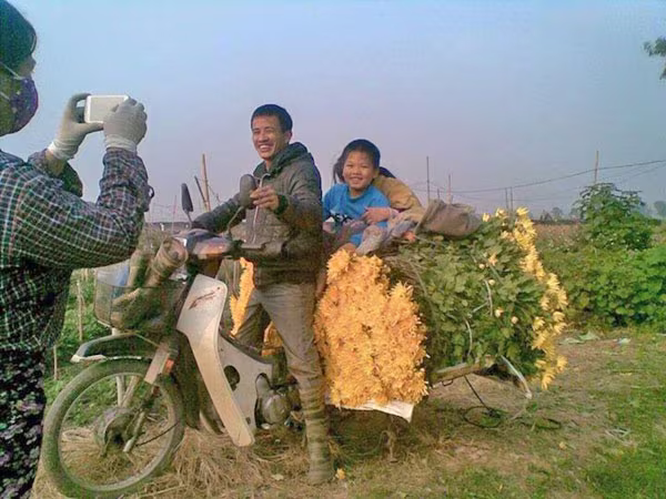 Hà Nội được mùa hoa Tây Tựu ảnh 4