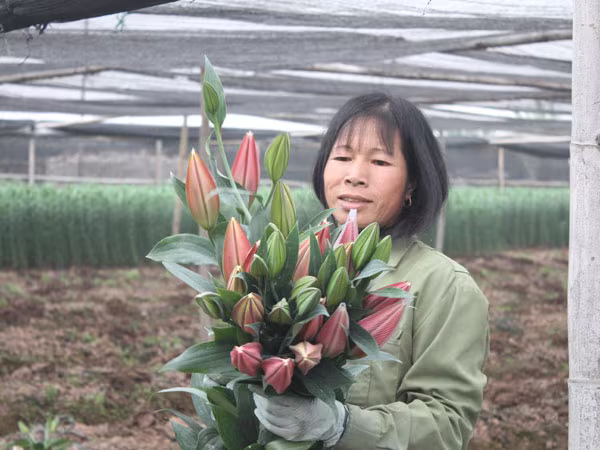 Hà Nội được mùa hoa Tây Tựu ảnh 3