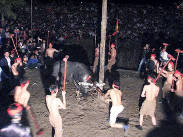 Cần điều chỉnh những lễ hội mang tính chất dã man  ảnh 1