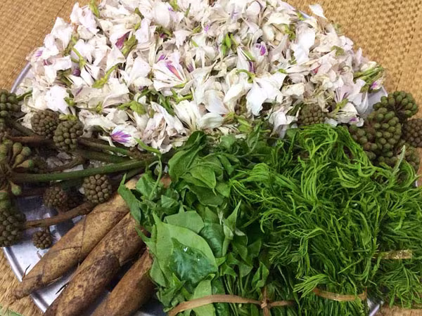 Tháng ba nhớ mùa hoa ban... ảnh 2 Tháng ba nhớ mùa hoa ban... ảnh 2