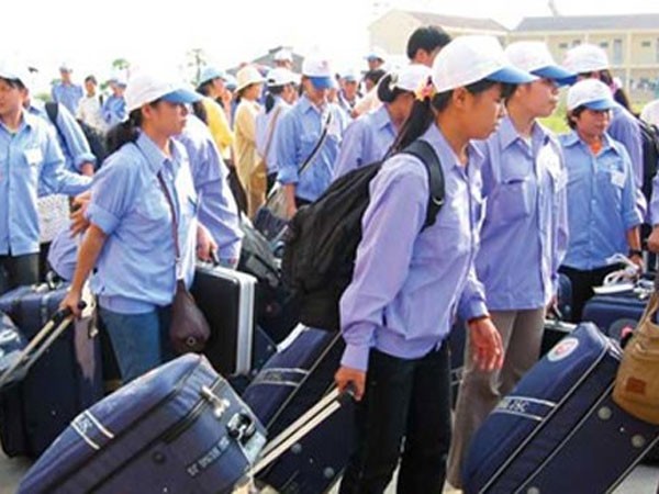 Vì sao nhiều lao động đòi về nước, phá vỡ hợp đồng? ảnh 1 Vì sao nhiều lao động đòi về nước, phá vỡ hợp đồng? ảnh 1