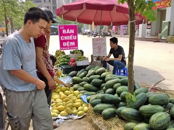 Ngỡ ngàng vì hoa quả được mùa, giá vẫn cao ảnh 1 Ngỡ ngàng vì hoa quả được mùa, giá vẫn cao ảnh 1