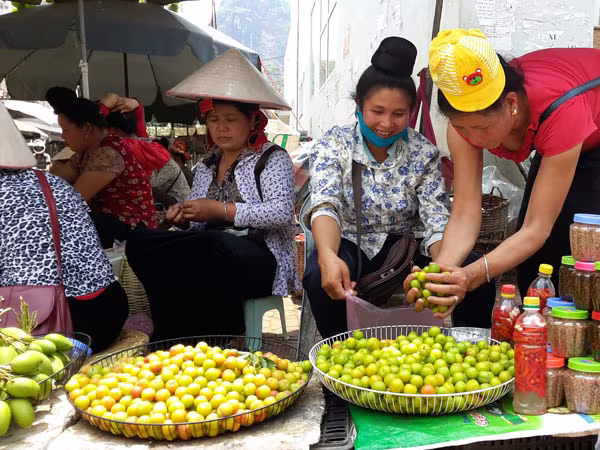 Mùa quả chín Sơn La ảnh 2