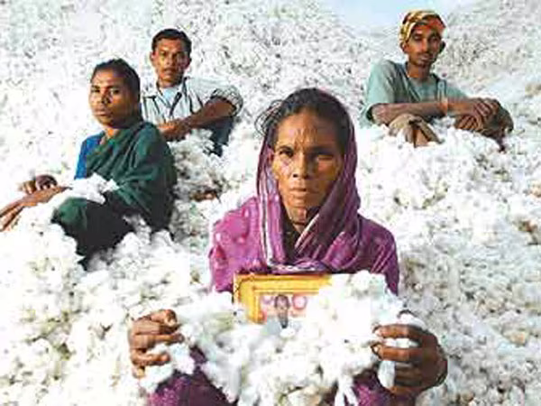 Lối thoát cay đắng của người nông dân Ấn Độ ảnh 1 Lối thoát cay đắng của người nông dân Ấn Độ ảnh 1